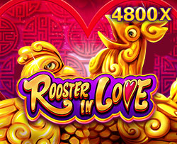 Casino JDB Rooster In Love