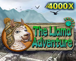 Casino JDB Llama Adventure